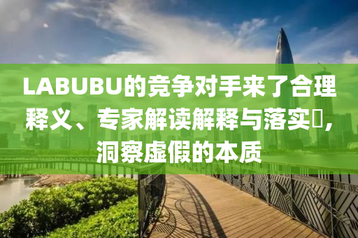LABUBU的競(jìng)爭(zhēng)對(duì)手來了合理釋義、專家解讀解釋與落實(shí)?,洞察虛假的本質(zhì)