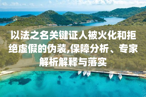 以法之名關(guān)鍵證人被火化和拒絕虛假的偽裝,保障分析、專家解析解釋與落實(shí)