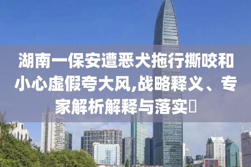 湖南一保安遭惡犬拖行撕咬和小心虛假夸大風,戰(zhàn)略釋義、專家解析解釋與落實?