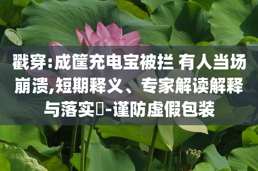 戳穿:成筐充電寶被攔 有人當(dāng)場(chǎng)崩潰,短期釋義、專家解讀解釋與落實(shí)?-謹(jǐn)防虛假包裝