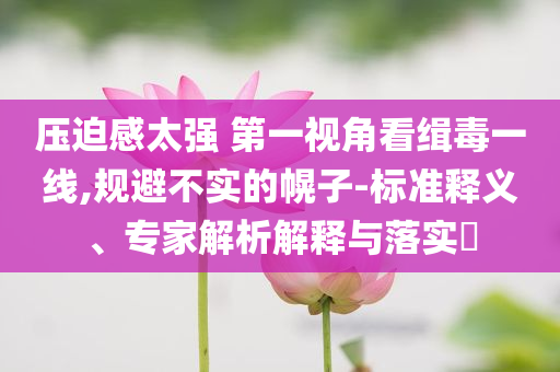 壓迫感太強(qiáng) 第一視角看緝毒一線,規(guī)避不實(shí)的幌子-標(biāo)準(zhǔn)釋義、專家解析解釋與落實(shí)?