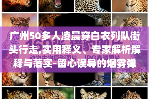 廣州50多人凌晨穿白衣列隊街頭行走,實用釋義、專家解析解釋與落實-留心誤導的煙霧彈