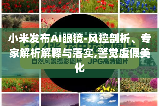 小米發(fā)布AI眼鏡-風控剖析、專家解析解釋與落實,警覺虛假美化
