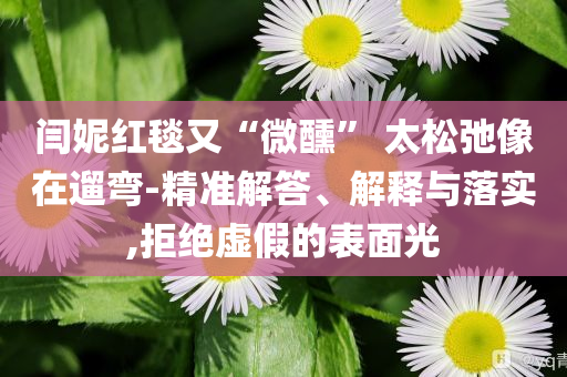 閆妮紅毯又“微醺” 太松弛像在遛彎-精準(zhǔn)解答、解釋與落實(shí),拒絕虛假的表面光