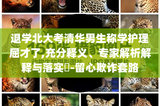 king擺渡 第586頁