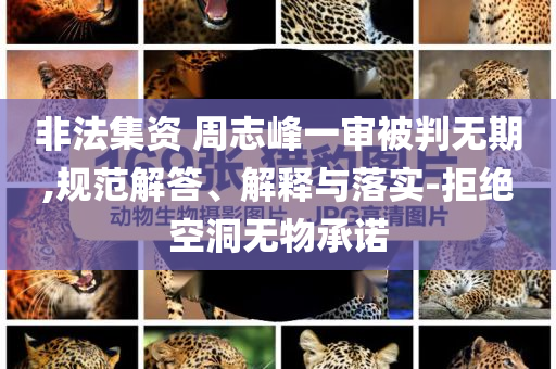 非法集資 周志峰一審被判無期,規(guī)范解答、解釋與落實(shí)-拒絕空洞無物承諾