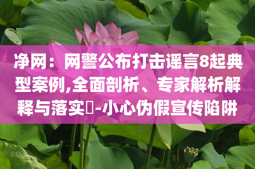 凈網(wǎng)：網(wǎng)警公布打擊謠言8起典型案例,全面剖析、專家解析解釋與落實(shí)?-小心偽假宣傳陷阱
