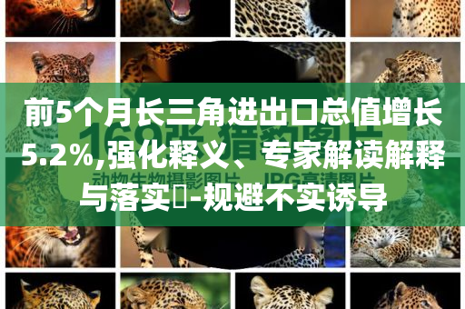 前5個月長三角進(jìn)出口總值增長5.2%,強化釋義、專家解讀解釋與落實?-規(guī)避不實誘導(dǎo)