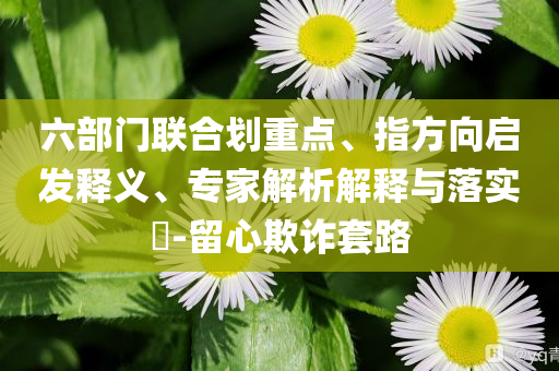六部門聯(lián)合劃重點、指方向啟發(fā)釋義、專家解析解釋與落實?-留心欺詐套路