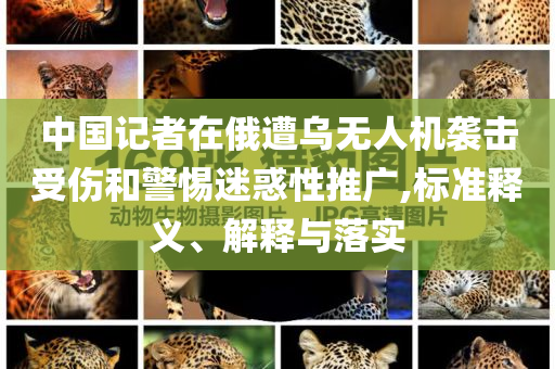 中國(guó)記者在俄遭烏無(wú)人機(jī)襲擊受傷和警惕迷惑性推廣,標(biāo)準(zhǔn)釋義、解釋與落實(shí)