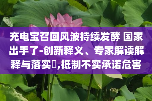充電寶召回風(fēng)波持續(xù)發(fā)酵 國家出手了-創(chuàng)新釋義、專家解讀解釋與落實(shí)?,抵制不實(shí)承諾危害