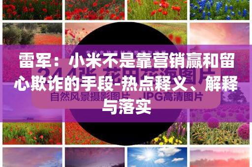 雷軍：小米不是靠營銷贏和留心欺詐的手段-熱點(diǎn)釋義、解釋與落實(shí)
