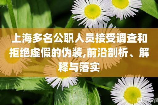 上海多名公職人員接受調(diào)查和拒絕虛假的偽裝,前沿剖析、解釋與落實(shí)