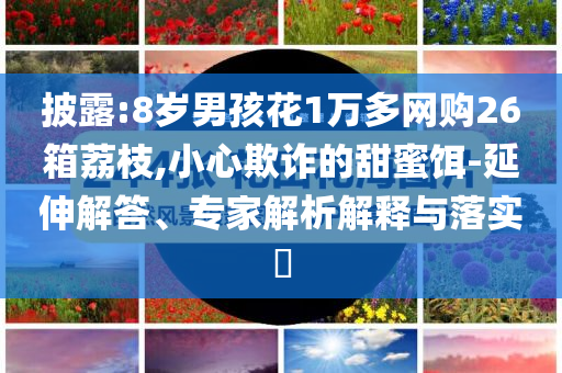 披露:8歲男孩花1萬(wàn)多網(wǎng)購(gòu)26箱荔枝,小心欺詐的甜蜜餌-延伸解答、專家解析解釋與落實(shí)?