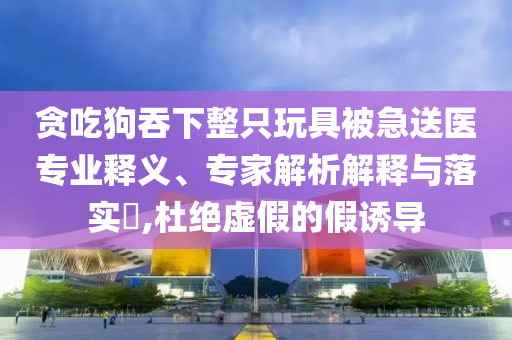 貪吃狗吞下整只玩具被急送醫(yī)專業(yè)釋義、專家解析解釋與落實(shí)?,杜絕虛假的假誘導(dǎo)