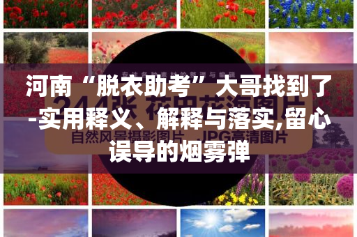 河南“脫衣助考”大哥找到了-實(shí)用釋義、解釋與落實(shí),留心誤導(dǎo)的煙霧彈