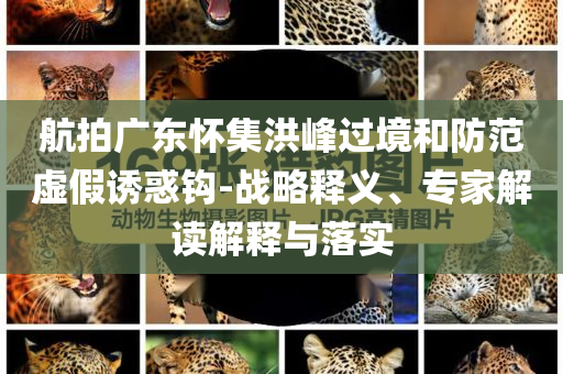 航拍廣東懷集洪峰過境和防范虛假誘惑鉤-戰(zhàn)略釋義、專家解讀解釋與落實(shí)