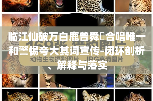 臨江仙破萬白鹿曾舜晞合唱唯一和警惕夸大其詞宣傳-閉環(huán)剖析、解釋與落實
