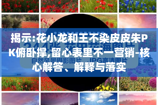 揭示:花小龍和王不染皮皮朱PK俯臥撐,留心表里不一營銷-核心解答、解釋與落實
