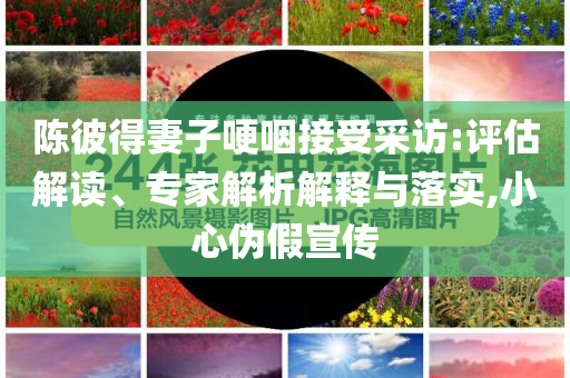 陳彼得妻子哽咽接受采訪:評估解讀、專家解析解釋與落實,小心偽假宣傳