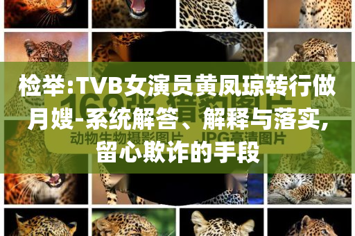 檢舉:TVB女演員黃鳳瓊轉(zhuǎn)行做月嫂-系統(tǒng)解答、解釋與落實(shí),留心欺詐的手段