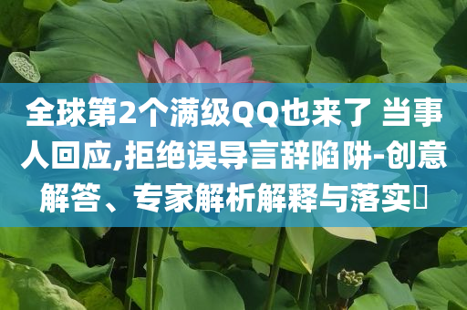 全球第2個(gè)滿級(jí)QQ也來了 當(dāng)事人回應(yīng),拒絕誤導(dǎo)言辭陷阱-創(chuàng)意解答、專家解析解釋與落實(shí)?