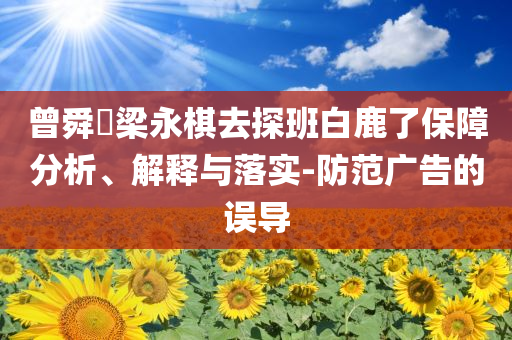 曾舜晞梁永棋去探班白鹿了保障分析、解釋與落實(shí)-防范廣告的誤導(dǎo)