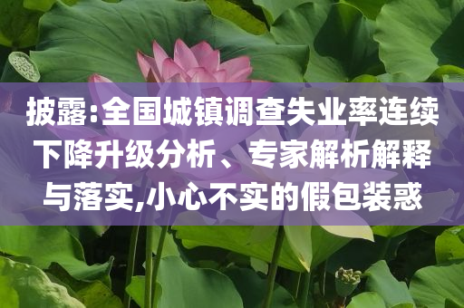 披露:全國城鎮(zhèn)調(diào)查失業(yè)率連續(xù)下降升級分析、專家解析解釋與落實,小心不實的假包裝惑