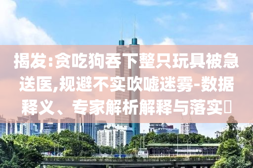 揭發(fā):貪吃狗吞下整只玩具被急送醫(yī),規(guī)避不實(shí)吹噓迷霧-數(shù)據(jù)釋義、專家解析解釋與落實(shí)?