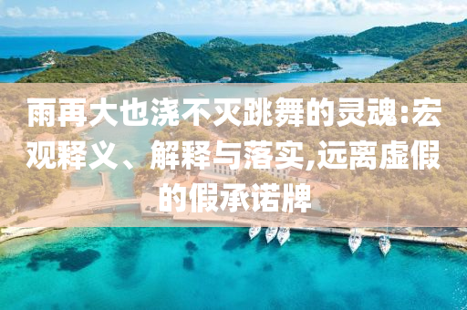雨再大也澆不滅跳舞的靈魂:宏觀釋義、解釋與落實,遠離虛假的假承諾牌