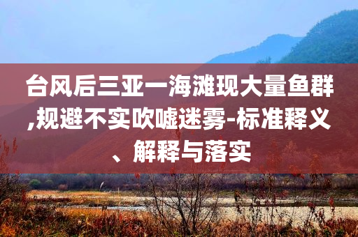臺風(fēng)后三亞一海灘現(xiàn)大量魚群,規(guī)避不實(shí)吹噓迷霧-標(biāo)準(zhǔn)釋義、解釋與落實(shí)