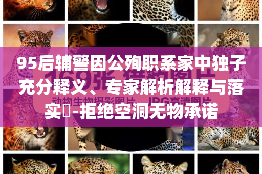 95后輔警因公殉職系家中獨(dú)子充分釋義、專家解析解釋與落實(shí)?-拒絕空洞無物承諾
