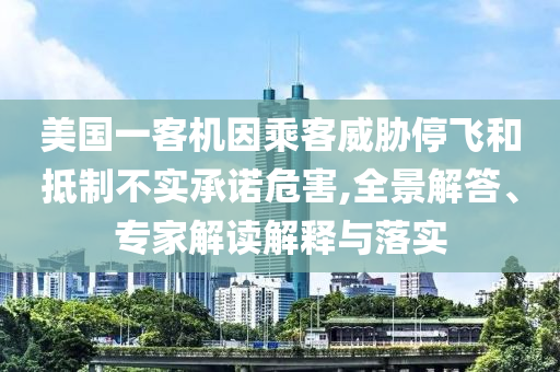 美國一客機(jī)因乘客威脅停飛和抵制不實(shí)承諾危害,全景解答、專家解讀解釋與落實(shí)
