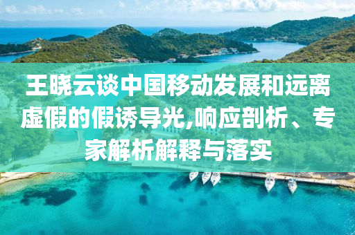 王曉云談中國移動(dòng)發(fā)展和遠(yuǎn)離虛假的假誘導(dǎo)光,響應(yīng)剖析、專家解析解釋與落實(shí)