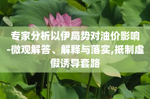 專家分析以伊局勢(shì)對(duì)油價(jià)影響-微觀解答、解釋與落實(shí),抵制虛假誘導(dǎo)套路