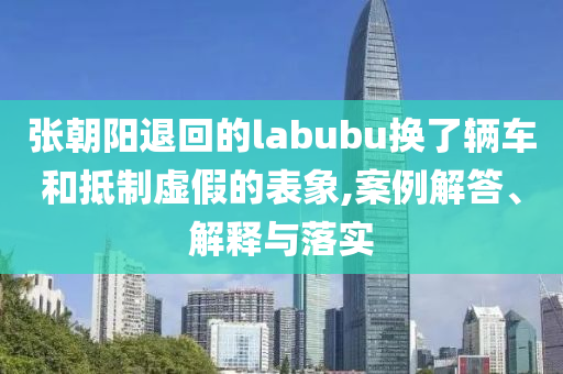 張朝陽退回的labubu換了輛車和抵制虛假的表象,案例解答、解釋與落實(shí)