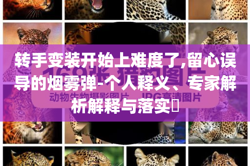 轉(zhuǎn)手變裝開始上難度了,留心誤導(dǎo)的煙霧彈-個人釋義、專家解析解釋與落實?