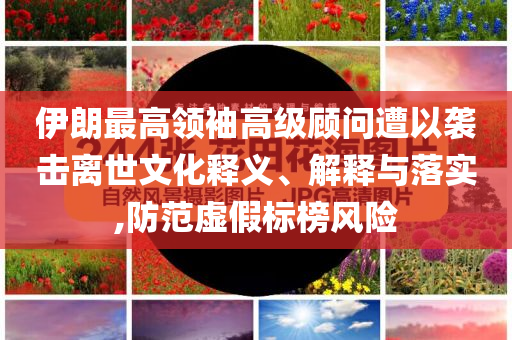 伊朗最高領(lǐng)袖高級(jí)顧問遭以襲擊離世文化釋義、解釋與落實(shí),防范虛假標(biāo)榜風(fēng)險(xiǎn)