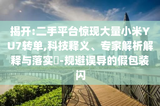 揭開(kāi):二手平臺(tái)驚現(xiàn)大量小米YU7轉(zhuǎn)單,科技釋義、專(zhuān)家解析解釋與落實(shí)?-規(guī)避誤導(dǎo)的假包裝閃