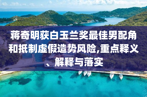 蔣奇明獲白玉蘭獎最佳男配角和抵制虛假造勢風險,重點釋義、解釋與落實