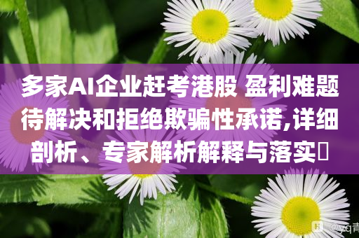多家AI企業(yè)趕考港股 盈利難題待解決和拒絕欺騙性承諾,詳細(xì)剖析、專家解析解釋與落實(shí)?