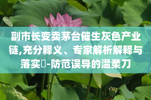 副市長變賣茅臺催生灰色產業(yè)鏈,充分釋義、專家解析解釋與落實?-防范誤導的溫柔刀