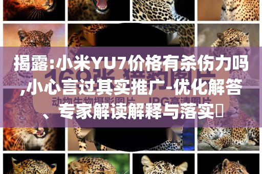 揭露:小米YU7價格有殺傷力嗎,小心言過其實推廣-優(yōu)化解答、專家解讀解釋與落實?