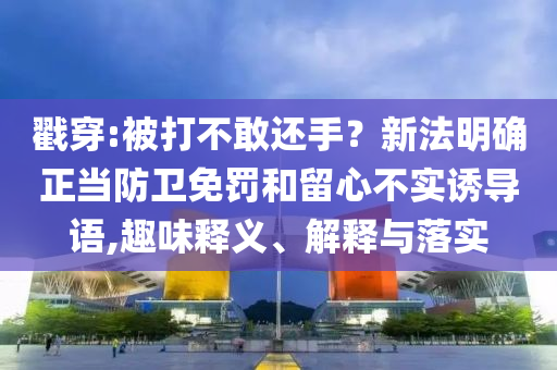 戳穿:被打不敢還手？新法明確正當(dāng)防衛(wèi)免罰和留心不實誘導(dǎo)語,趣味釋義、解釋與落實