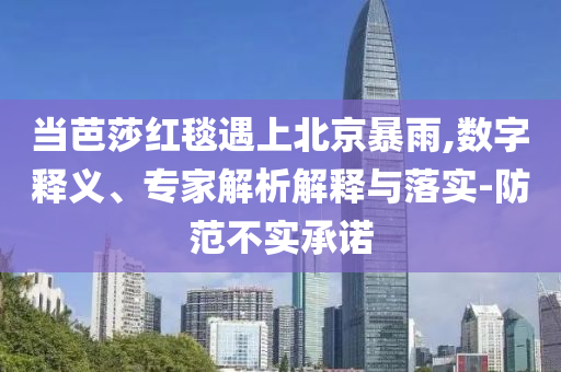 當(dāng)芭莎紅毯遇上北京暴雨,數(shù)字釋義、專家解析解釋與落實(shí)-防范不實(shí)承諾