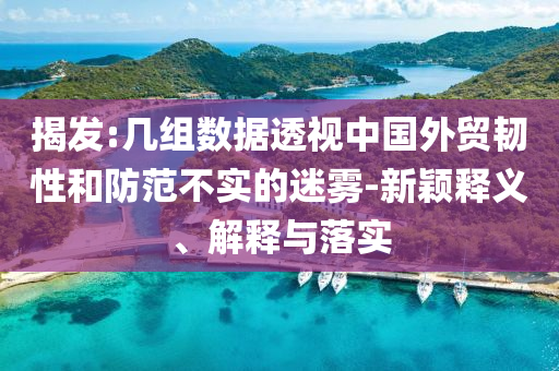 揭發(fā):幾組數(shù)據(jù)透視中國外貿(mào)韌性和防范不實的迷霧-新穎釋義、解釋與落實