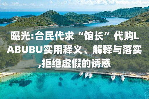 曝光:臺(tái)民代求“館長”代購LABUBU實(shí)用釋義、解釋與落實(shí),拒絕虛假的誘惑