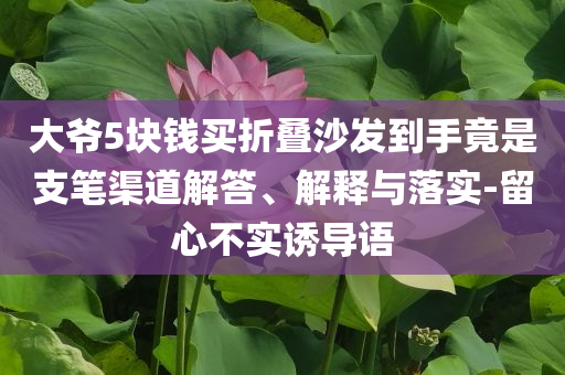 大爺5塊錢買折疊沙發(fā)到手竟是支筆渠道解答、解釋與落實(shí)-留心不實(shí)誘導(dǎo)語(yǔ)