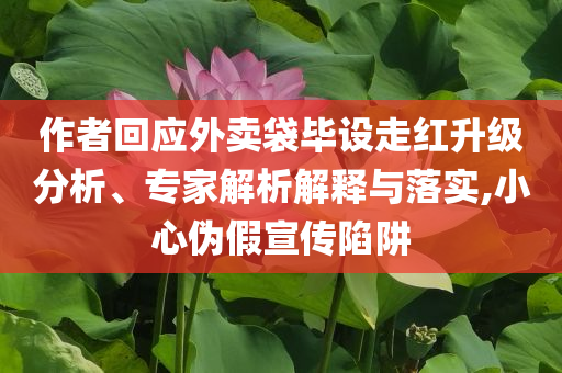 作者回應(yīng)外賣袋畢設(shè)走紅升級(jí)分析、專家解析解釋與落實(shí),小心偽假宣傳陷阱