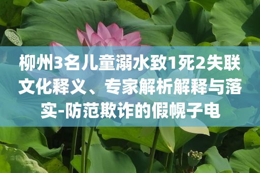 柳州3名兒童溺水致1死2失聯(lián)文化釋義、專家解析解釋與落實-防范欺詐的假幌子電